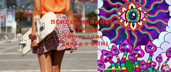 стаф Алексин