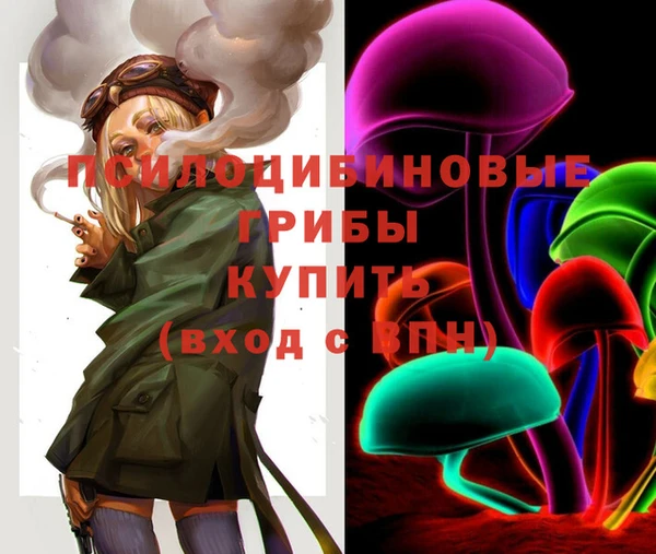 PSILOCYBIN Алексеевка