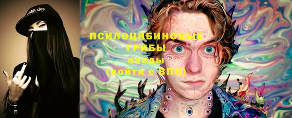 стаф Алексин