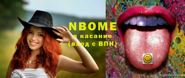 стаф Алексин
