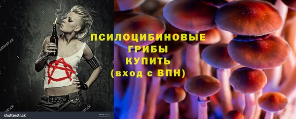 стаф Алексин