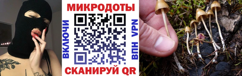 Псилоцибиновые грибы Psilocybe  как найти закладки  Ветлуга 